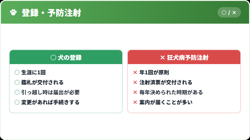 毎年の流れ