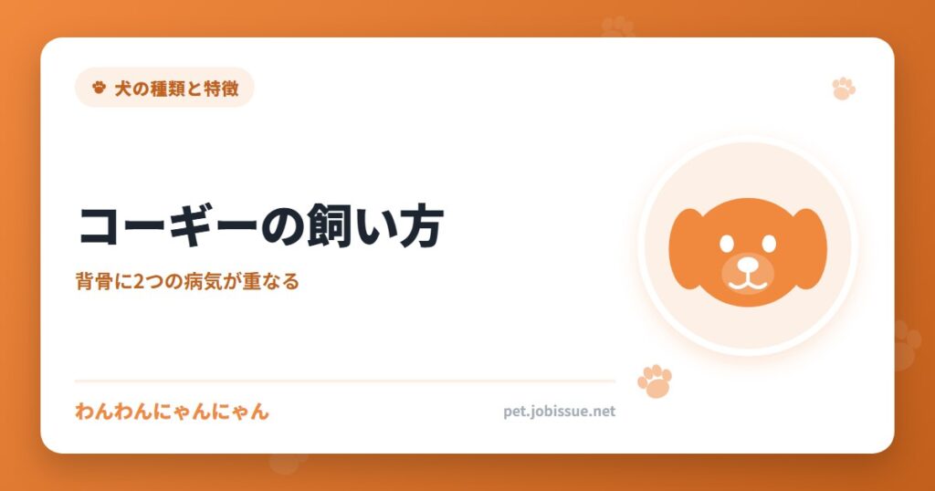 コーギーの飼い方