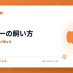 コーギーの飼い方