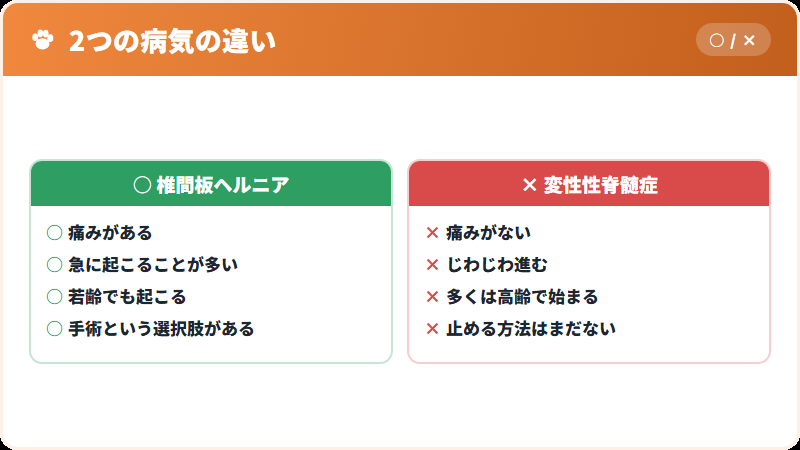 椎間板ヘルニアと変性性脊髄症の違い