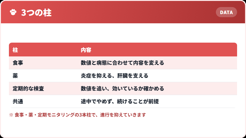 治療の3本柱