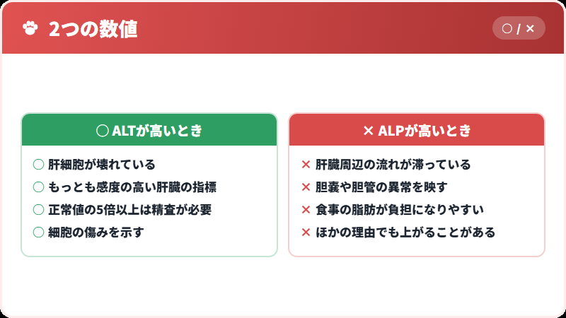ALTとALPのちがい