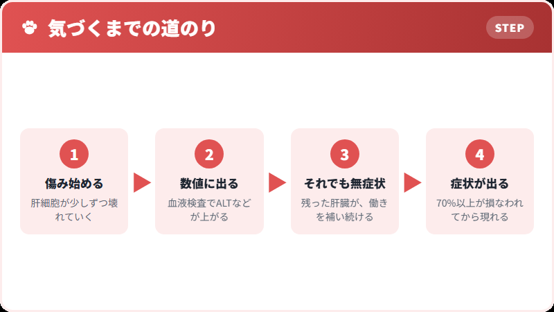 沈黙の臓器と呼ばれる理由