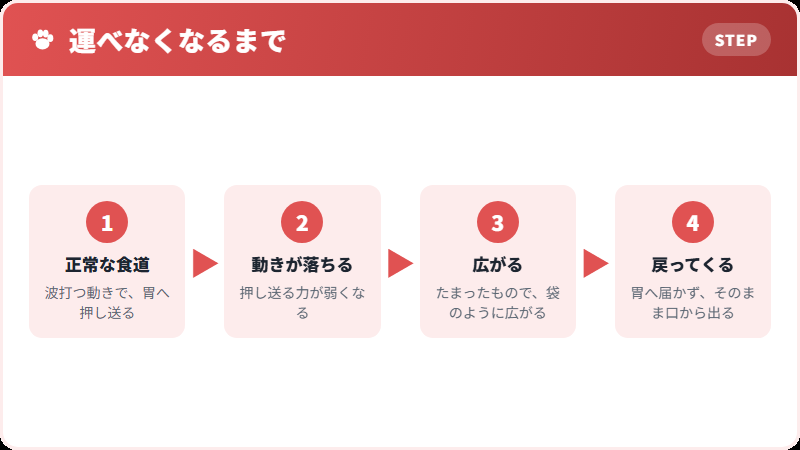 食道が運べなくなる