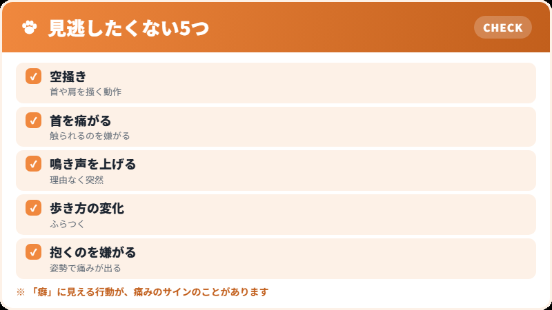 キアリ様奇形と脊髄空洞症のサイン