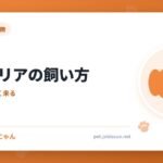 キャバリアの飼い方