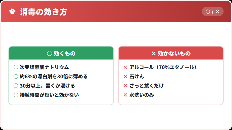 パルボウイルスに効く消毒と効かない消毒