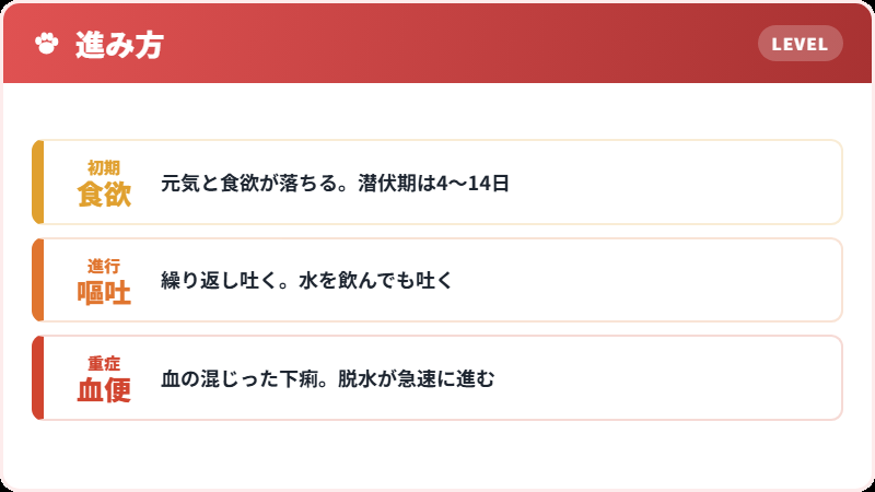 パルボウイルス感染症の症状