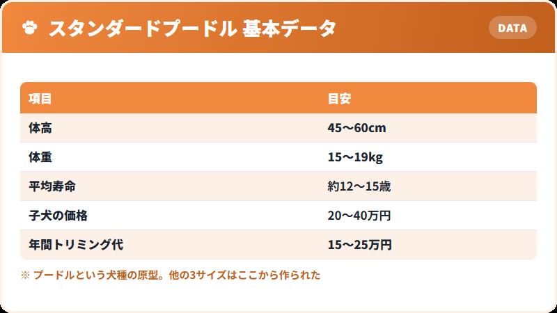スタンダードプードルの基本データ 体高・体重・寿命・価格の一覧