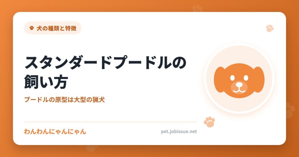 スタンダードプードルの飼い方