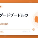 スタンダードプードルの飼い方