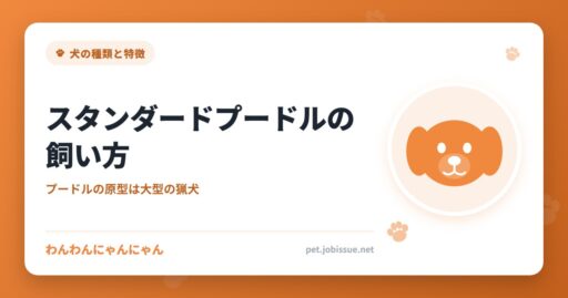 スタンダードプードルの飼い方