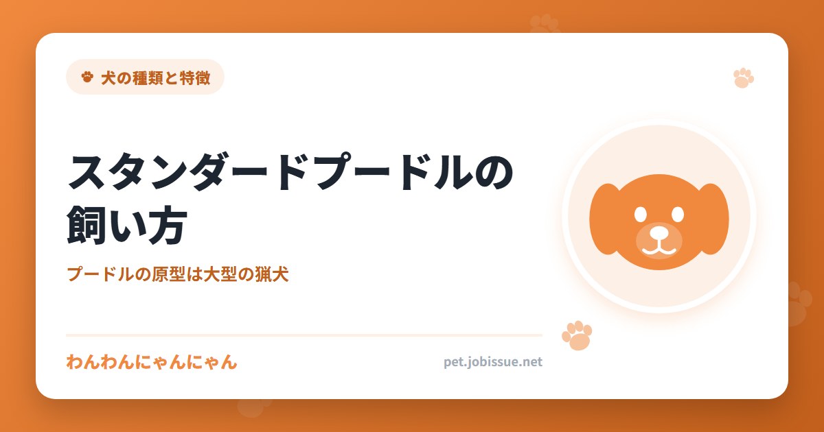 スタンダードプードルの飼い方