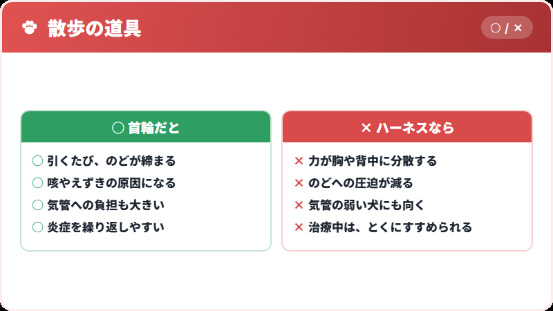 首輪とハーネスのちがい