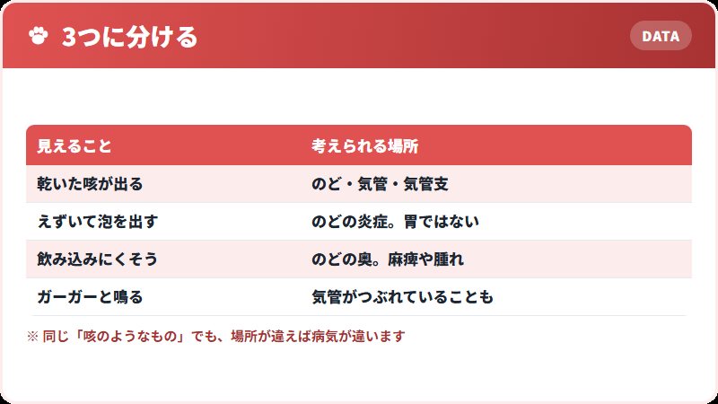 のどの症状の分け方