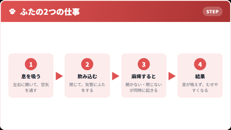 喉頭というふたの働き