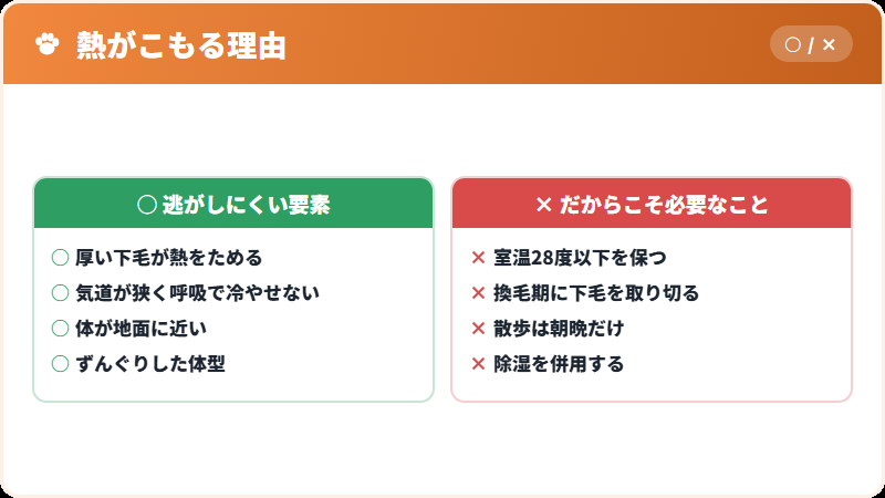 長毛と短頭種が重なった体