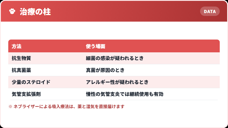 治療の組み立て