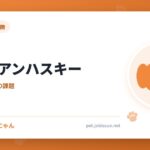シベリアンハスキー