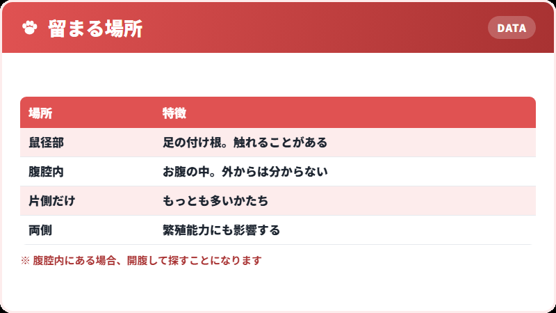 どこに留まっているか