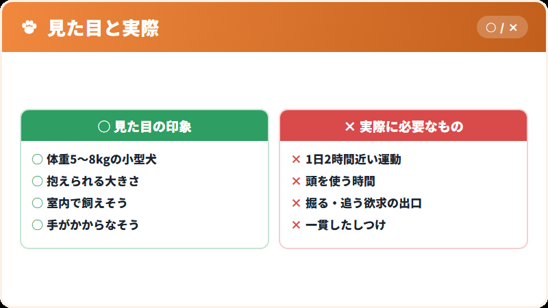 見た目と中身のギャップ