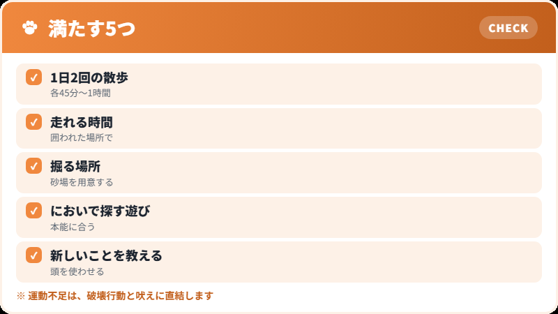 必要な運動と刺激