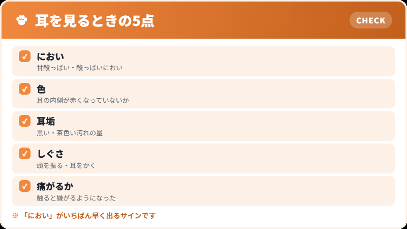 耳の観察ポイント
