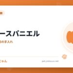 コッカースパニエル