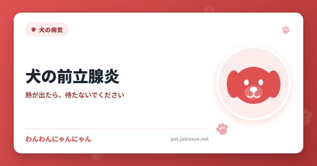 犬の前立腺炎