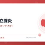犬の前立腺炎