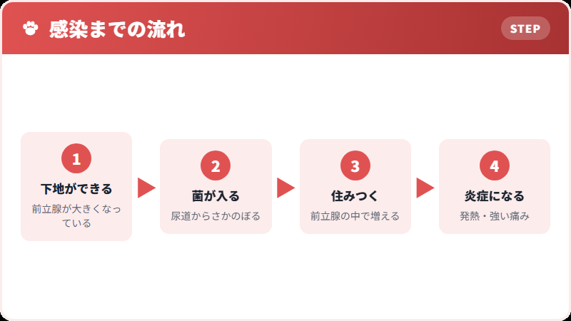 菌が入る道すじ