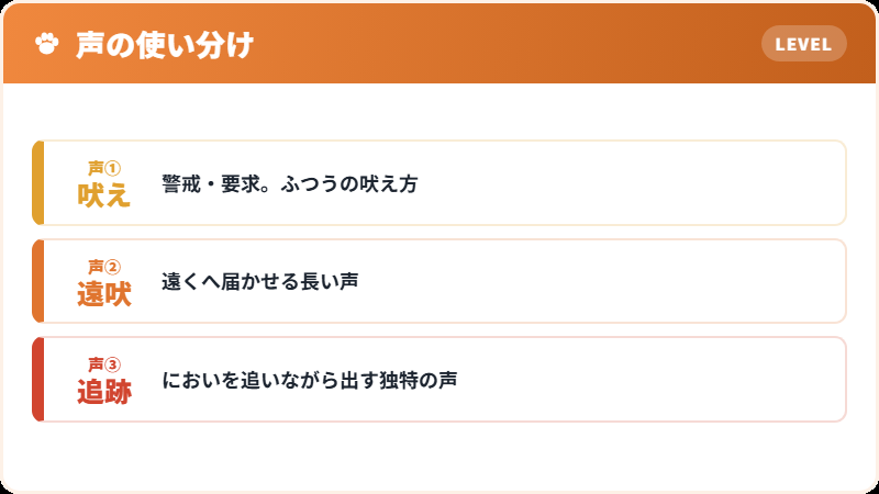 ビーグルの3つの声