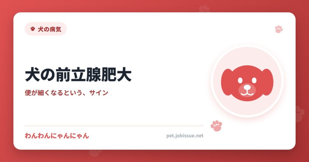 犬の前立腺肥大
