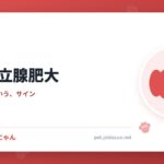 犬の前立腺肥大