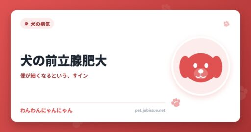 犬の前立腺肥大