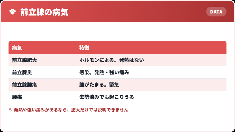 前立腺の3つの病気