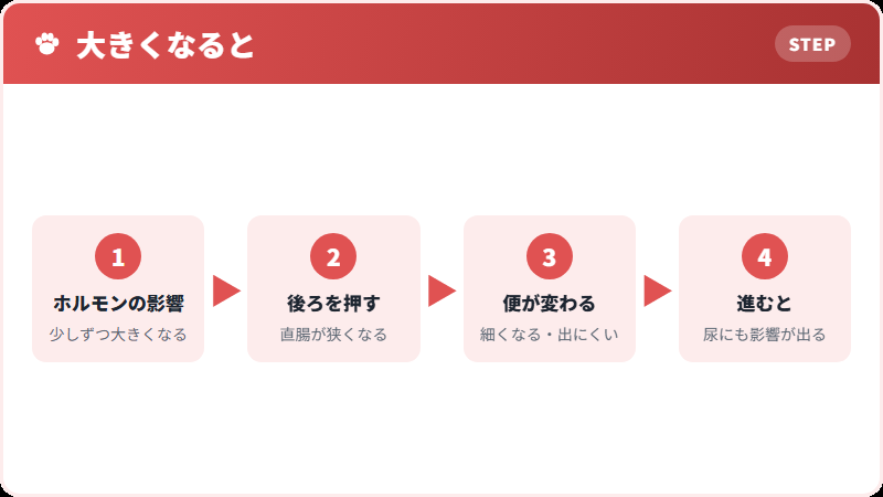 前立腺が圧迫する場所