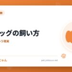 ブルドッグの飼い方