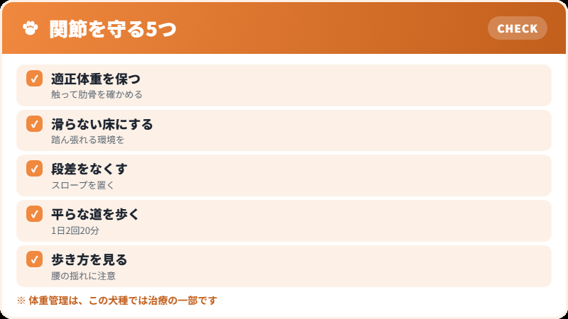 関節と体重の関係
