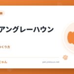 イタリアングレーハウンド