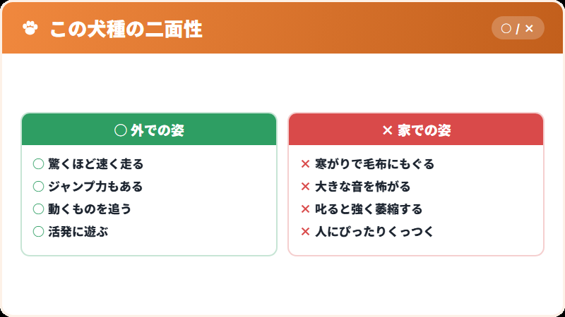 繊細さという、もうひとつの特徴