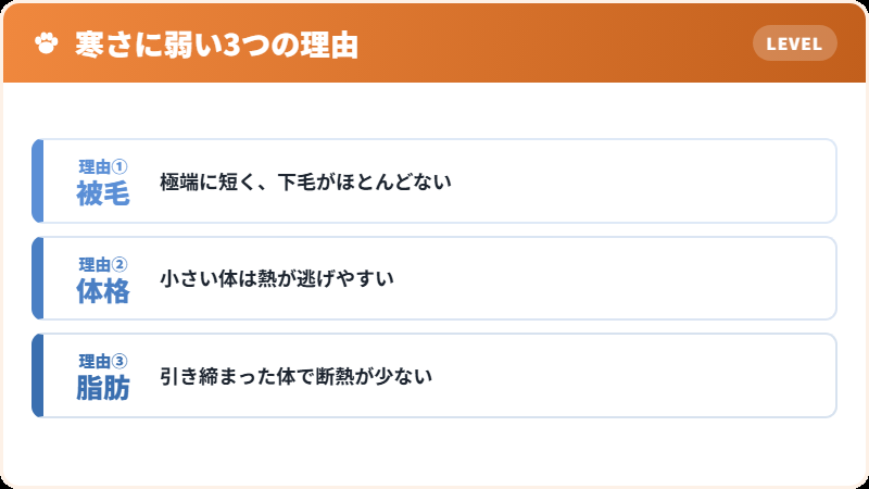 寒さへの弱さ