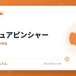 ミニチュアピンシャー