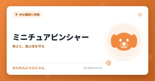 ミニチュアピンシャー