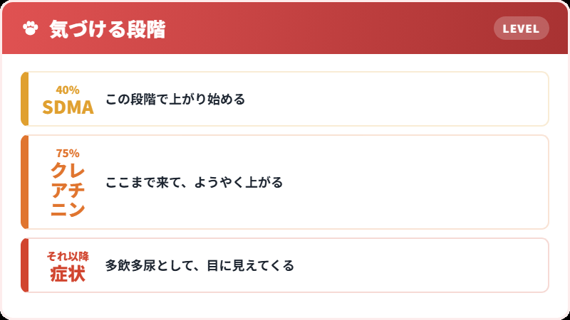 クレアチニンが上がるまで