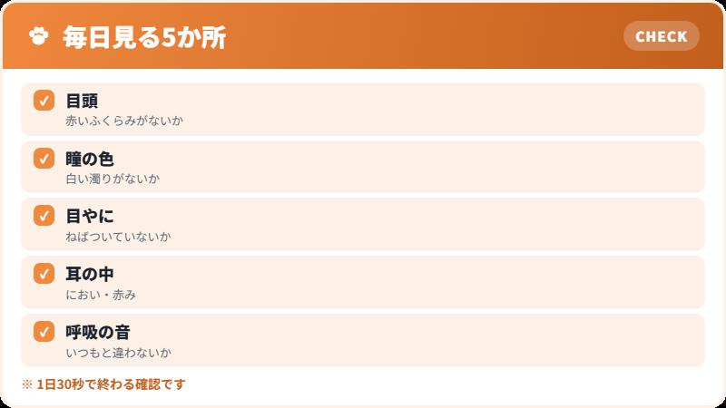 毎日の健康チェック