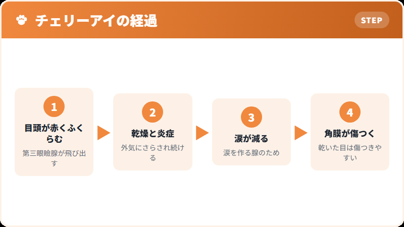 チェリーアイが起きるしくみ