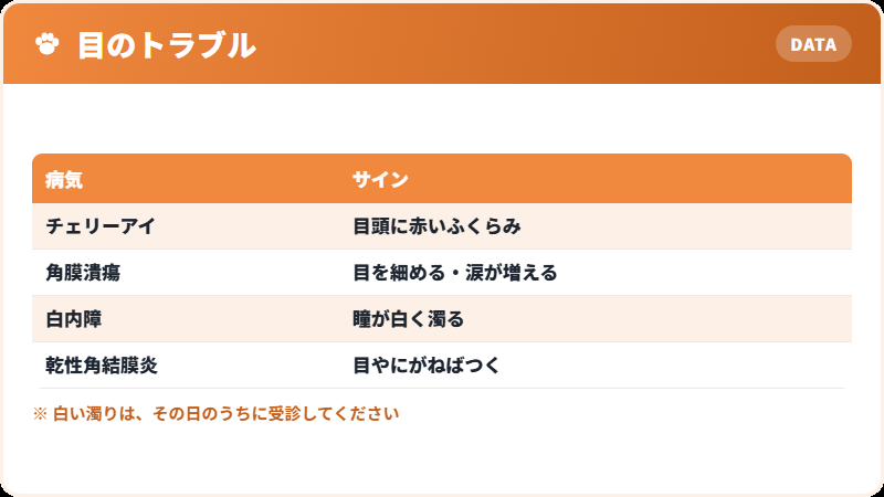 ボストンテリアに多い目の病気