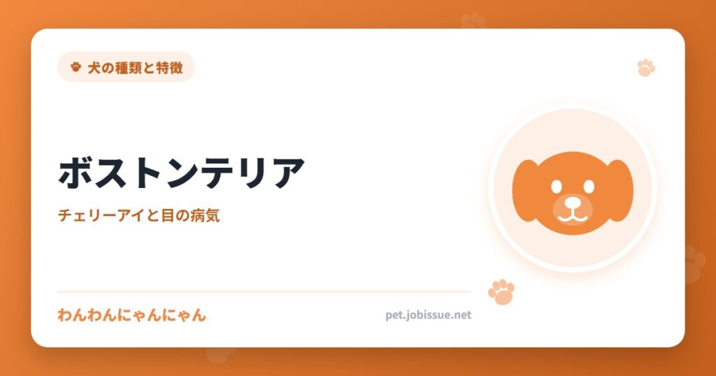 ボストンテリア