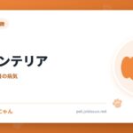 ボストンテリア